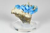 Vibrant Blue, Cyanotrichite Crystal Aggregates - China #186024-1